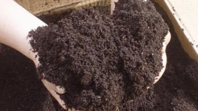 Digging into the Nutrient-rich World of Organic Soils and Fertilizers