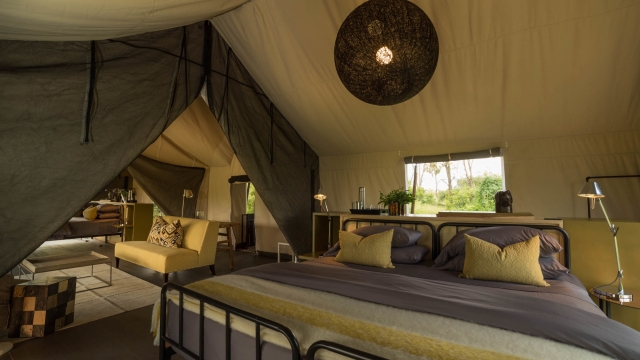 Luxurious Haunts in the Wild: Unraveling the Secrets of Safari Accommodation