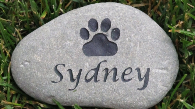 Saying Goodbye: Honoring the Lives of Beloved Pets