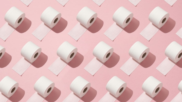 The Evolution of Toilet Paper: From Leaves to Luxury