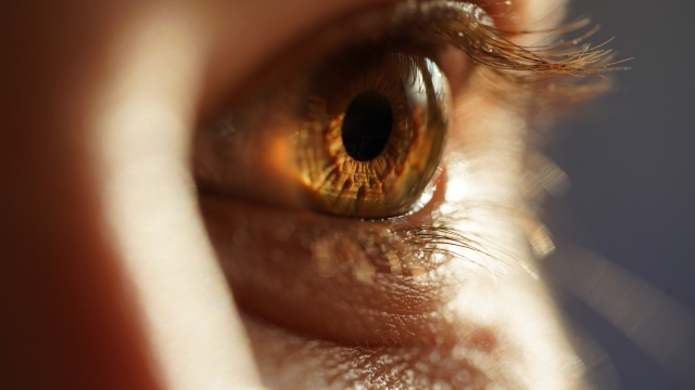 The Window to Clear Vision: Unveiling the World of Ophthalmology