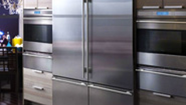 Chilling Excellence: Exploring Sub Zero Appliances and Freezers