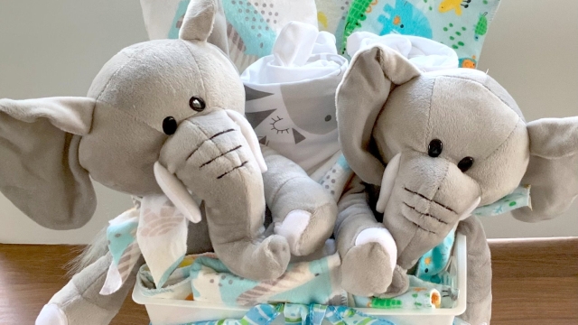 The Ultimate Guide to Finding the Perfect Baby Gift in Malaysia