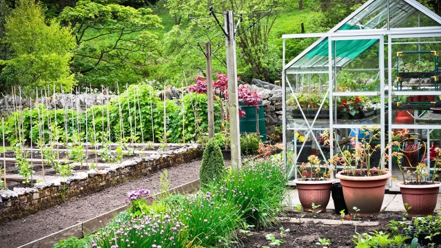 Growing Green: The Art of Organic Gardening